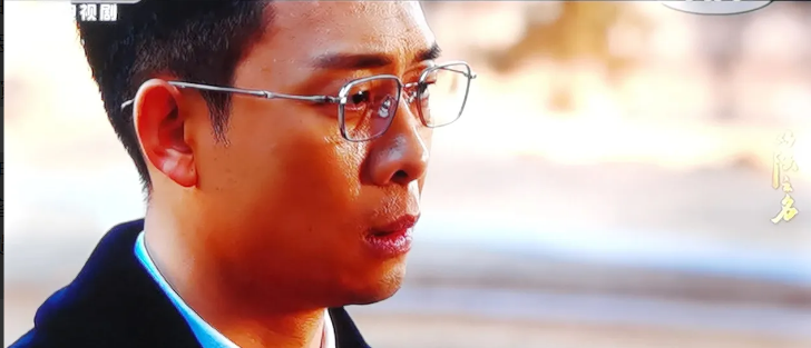 《以法之名》最大的保护伞可能就是省里的检察长张放！郑雅萍和洪亮向海东省检察长