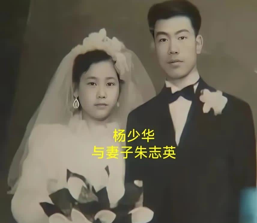 看到这张老照片我才知道，为什么侯大师不待见杨少华了！一个貌不惊人得小伙子
