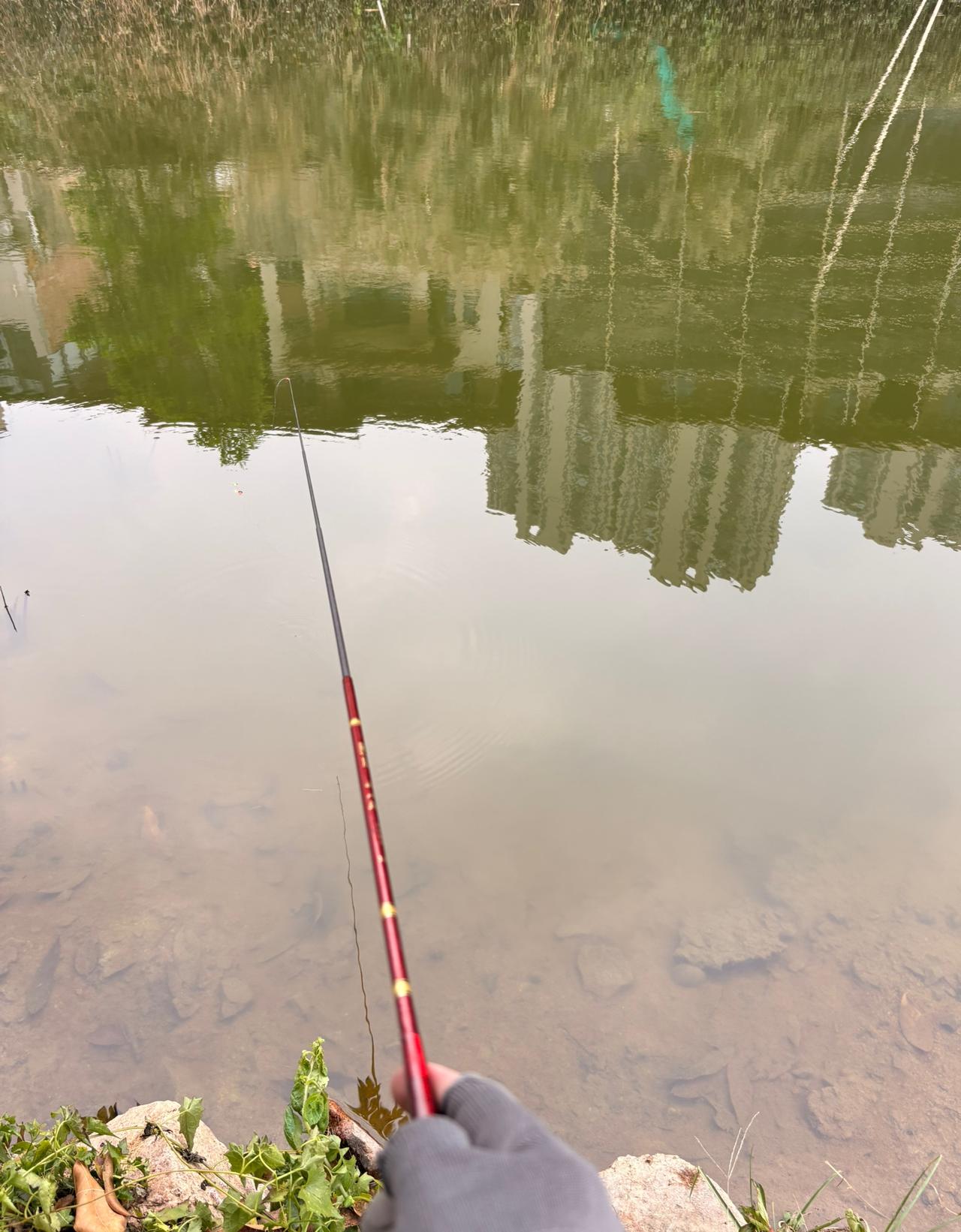 今天路过一个河边，看到一个大哥在钓鱼，过去看了一下：空军！递了一根烟给大哥，