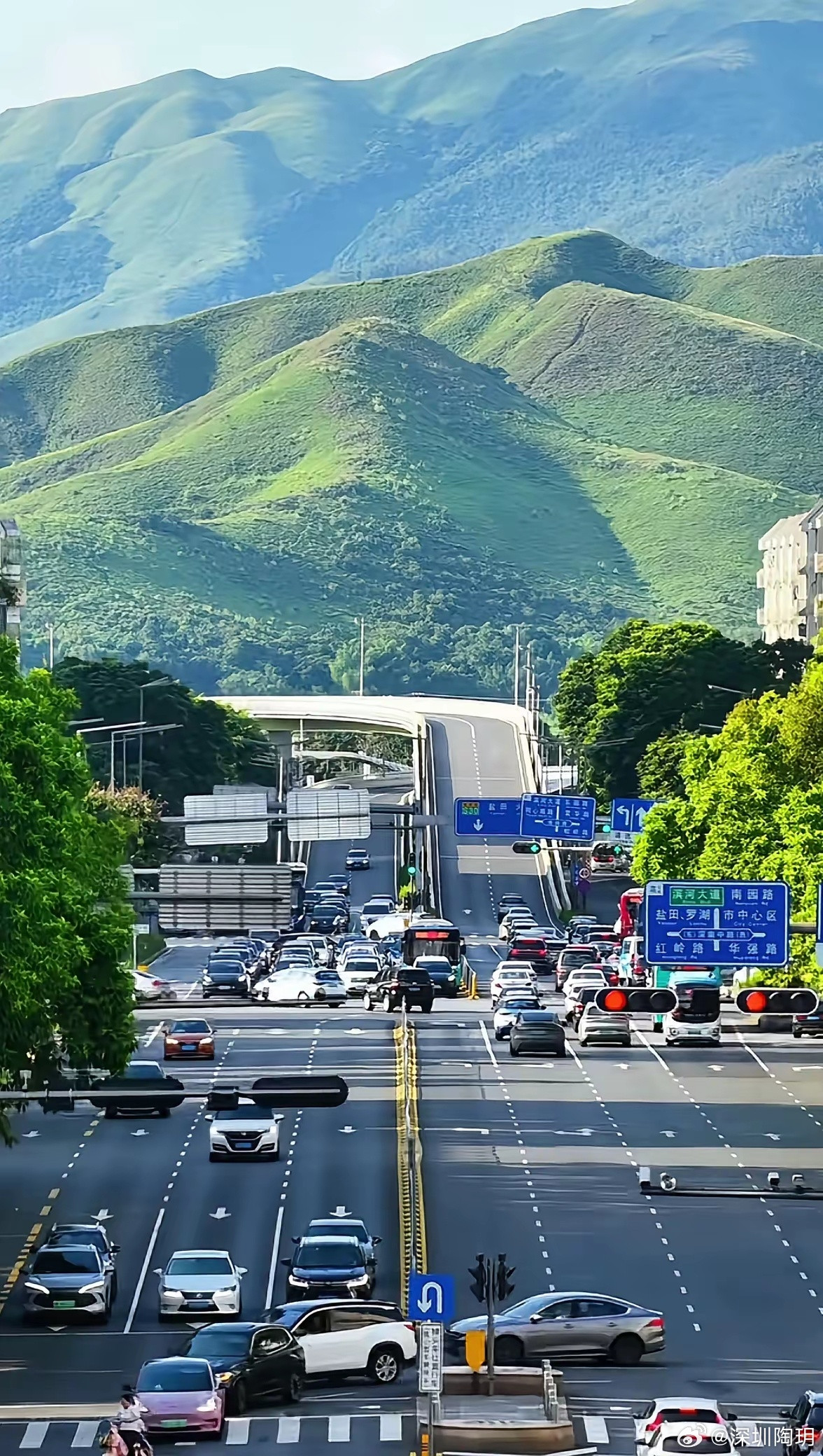 如果不是路牌，没人能猜到这是深圳市区吧？[抠鼻]​​​