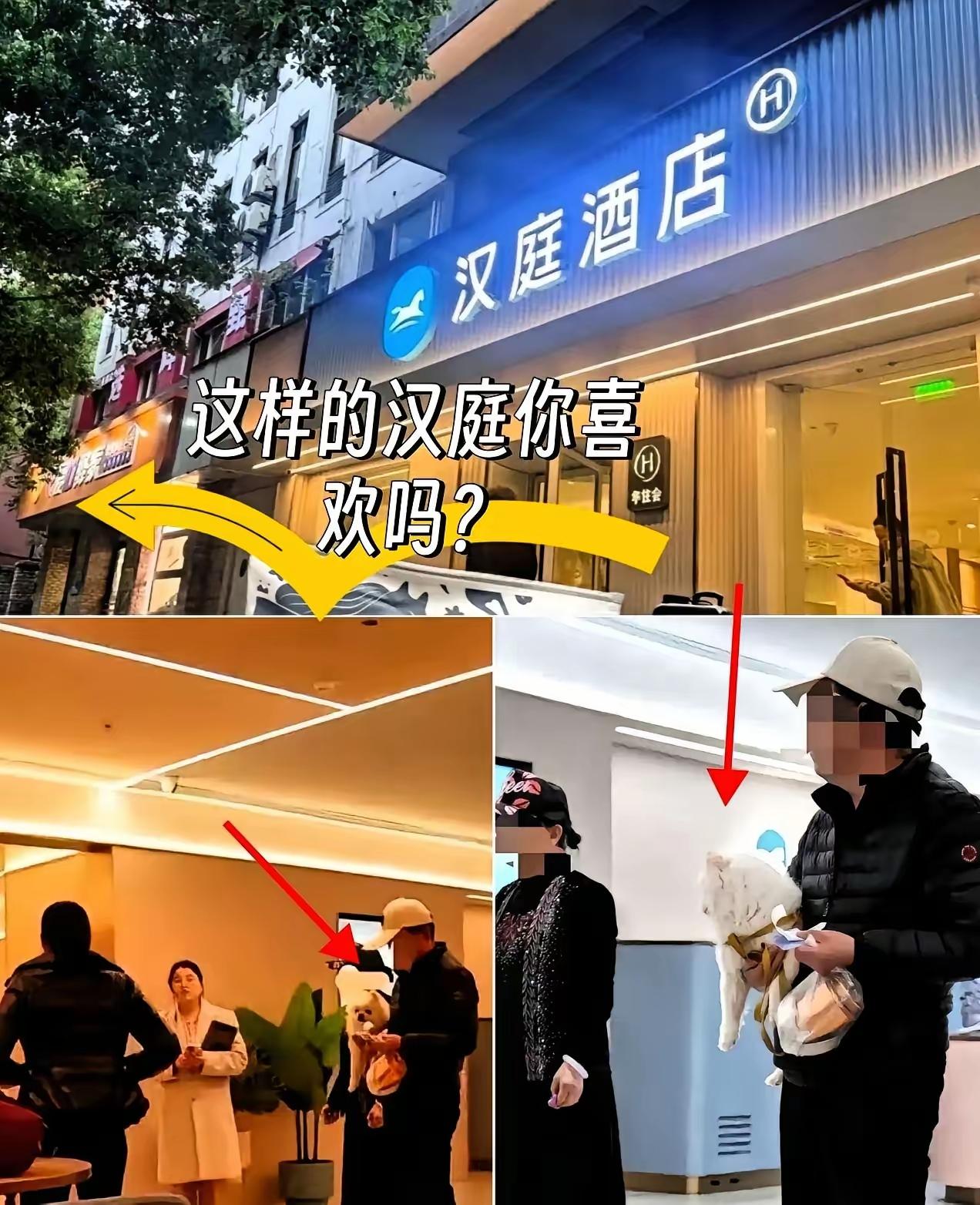 活该汉庭酒店发财，不是因为他拒绝了带狗的客户入住，也不是他的连锁店遍