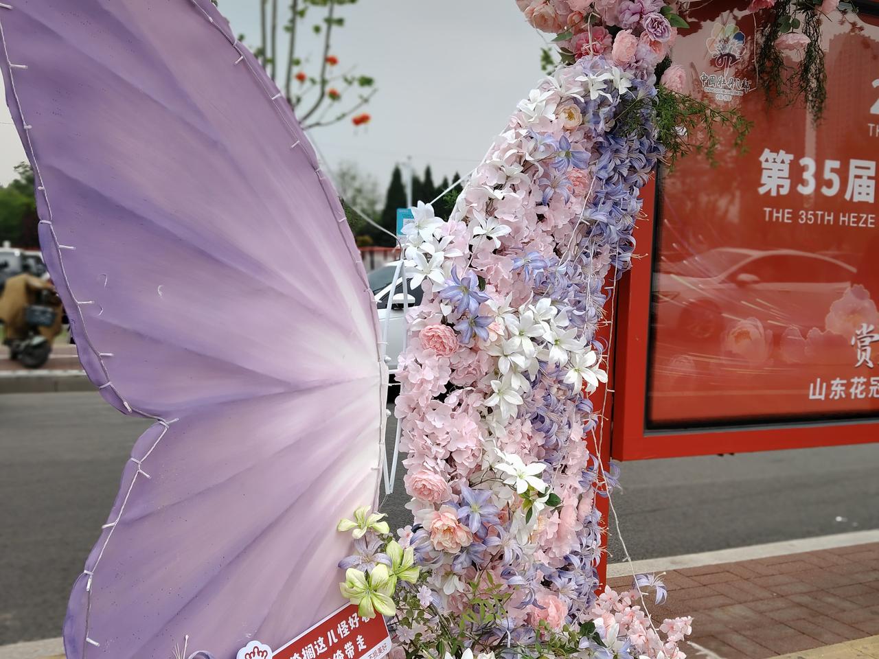 今天来菏泽看牡丹了，刚到曹州牡丹园，远远就先闻到了花香，有一种甜甜的味道。车