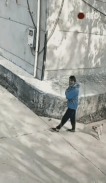 请爱狗人士站出来说两句