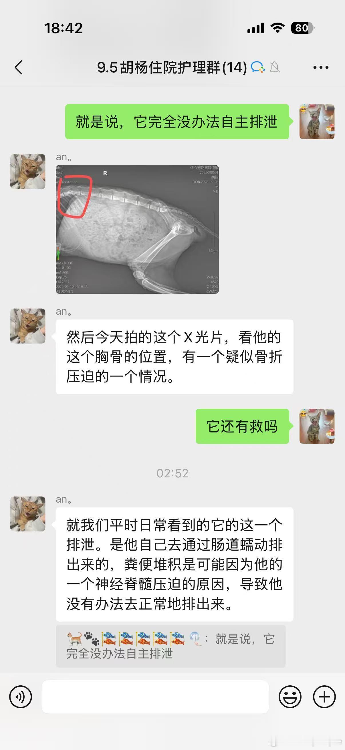 小小的它想活下去🙏🏻🙏🏻🙏🏻非常要好的一位姐姐在回家路上遇到的一只小狸花，后腿瘫痪，下半
