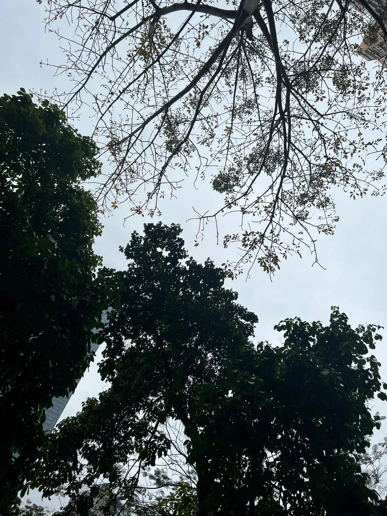 你们听说没？以后你的住房公积金，能干的事更多了。不是只能买房、还房贷了，而是