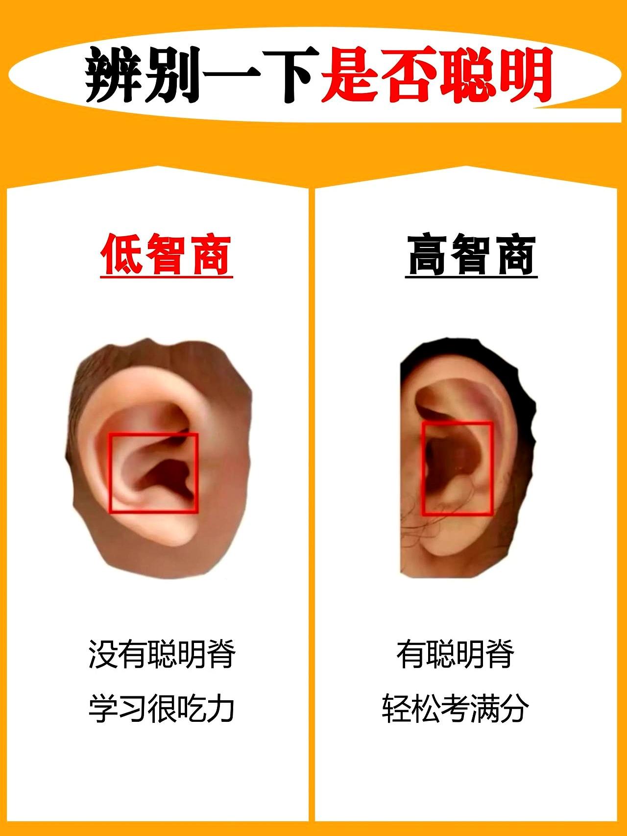 你是不是也以为，洗发水越贵，洗得就越干净？快打住吧，这里头好几个冷知识，估计商