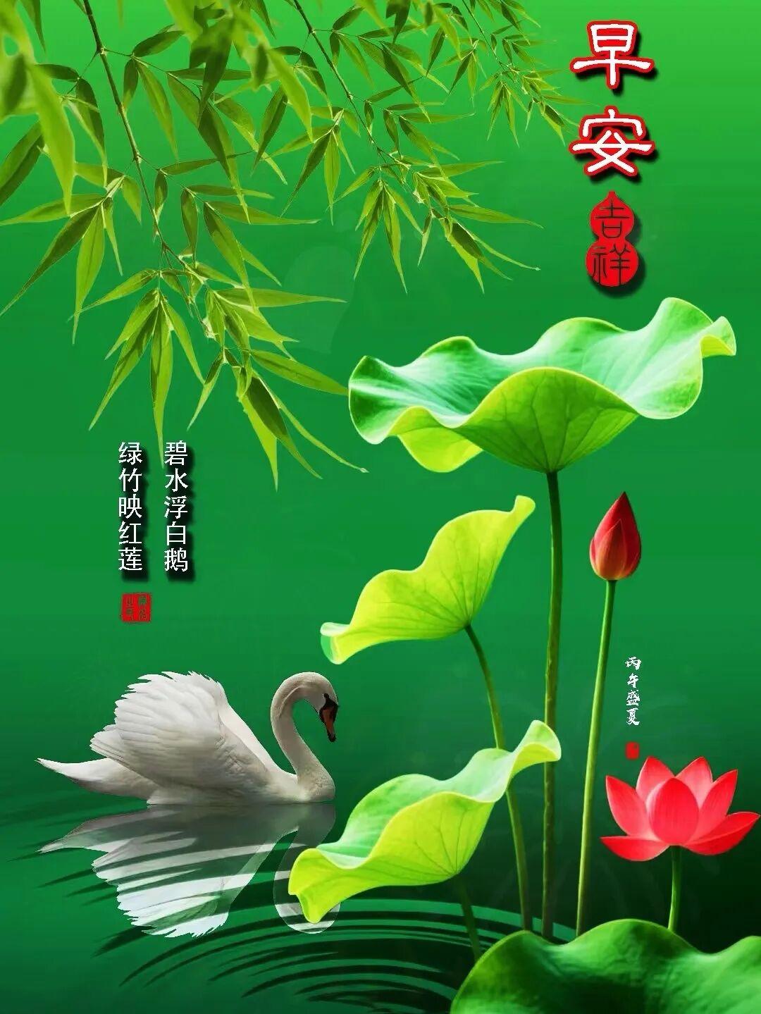 很多烦恼都是胡思乱想才有的，心思简单，日子才会轻松轻快。少纠结无解的琐事，多落地