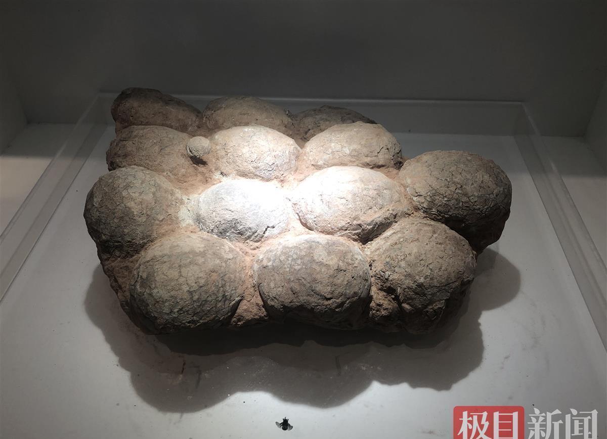 1994年，湖北青龙山，村民朱天义把橘子卖给橘子贩，正打算回去。谁知车陷泥里了，