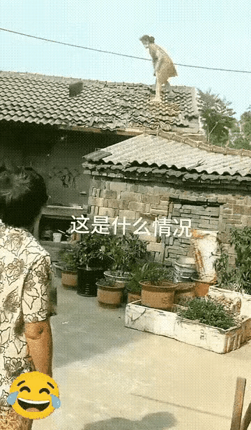 这张图简直是把“三天不打，上房揭瓦”这句老话演成了实景喜剧😂🔍这句老