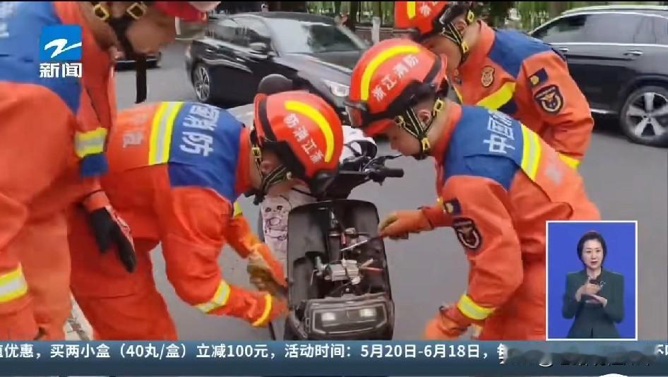 一个月抓了655条蛇！杭州消防忙疯了，也引发困惑：城里的蛇抓了往农村放，农村人不