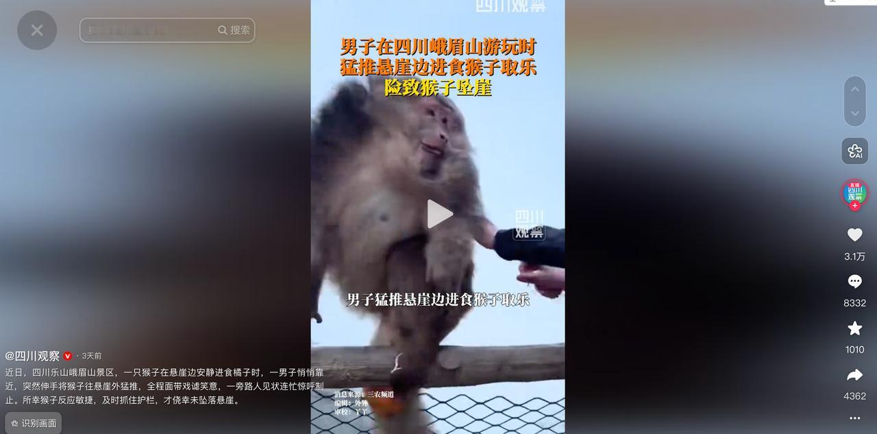 5月7日四川观察报道，峨眉山一男子突然将崖边吃橘子的猴子推下护栏，猴子拼命抓住边