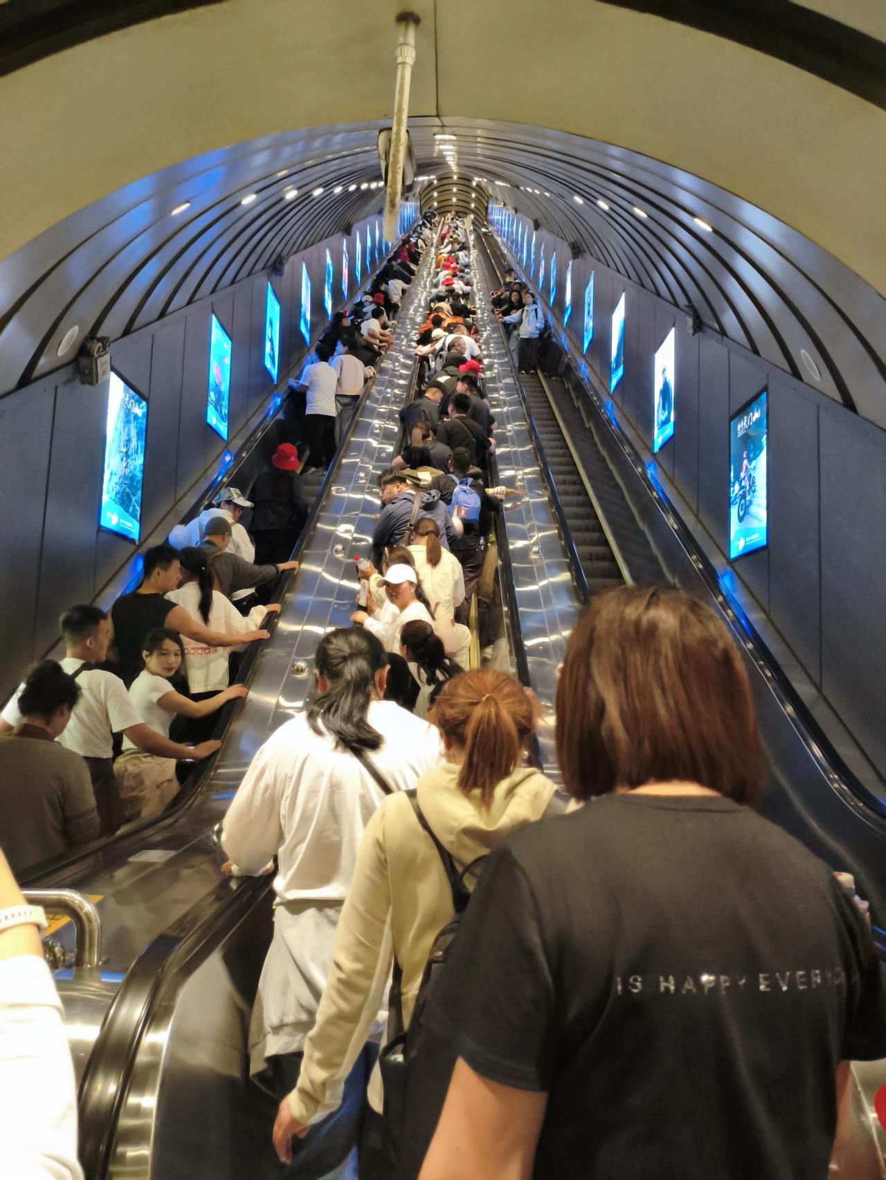 连着三天，一直在上山下山，昨天从天门山顶朝下走，腿都打哆嗦，真是自己找罪受[大笑