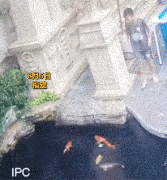 “心都碎了”。福建，一小男孩出门找狗，结果发现狗子已经淹死在了鱼塘，看着狗子飘在