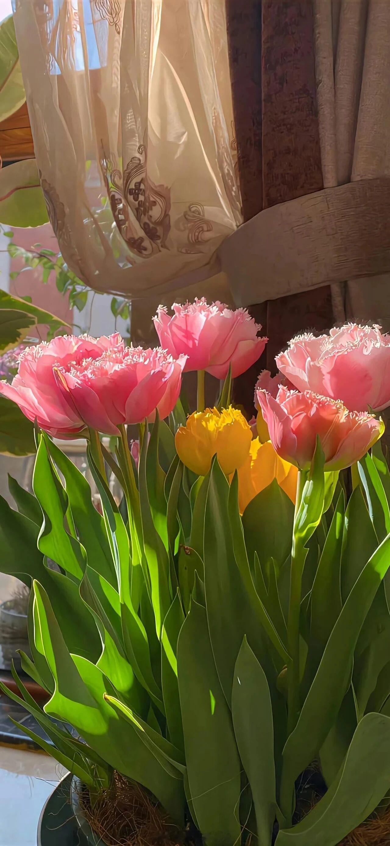 他也想成为她的全世界，为她依托。——《沥青》晚安推文