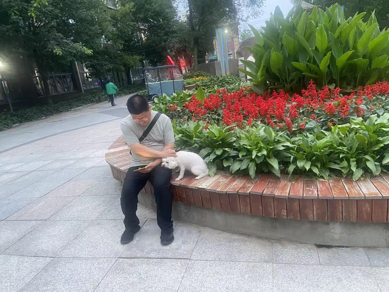 昨天我和妻子商量，想养一条小狗。这只小狗是一个亲属家的，由于要搬家，于是想把小狗