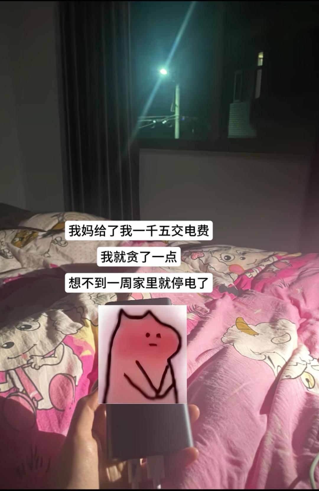 我妈给我1500交电费，我就贪了一点，没想到不到一周家里就停电了[无奈吐舌]网友：