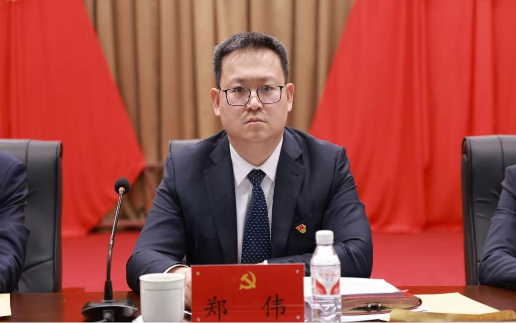 清华高材生、准85后，既有机关工作经验，又在基层主政多年，本来仕途大有可期的郑伟