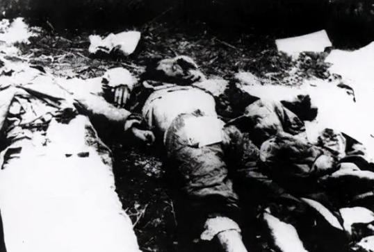 1949年，渣滓洞大屠杀，罗娟华中弹倒地，这时，她看到了躺在血泊中的婴儿，正准备