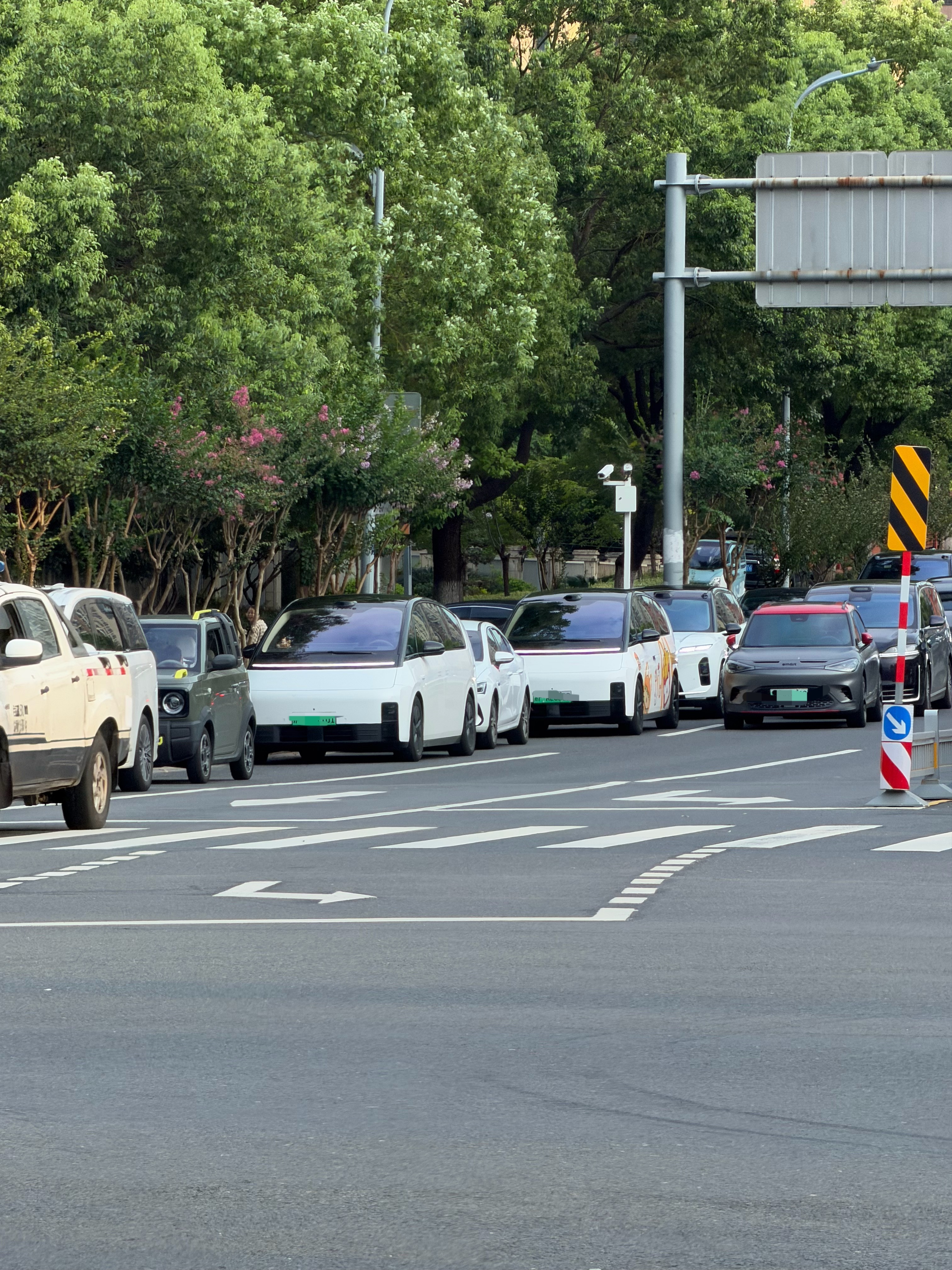 给你们看看外国语学校家长多爱MPV，理想MEGA、智界V9、极氪001、腾势D9