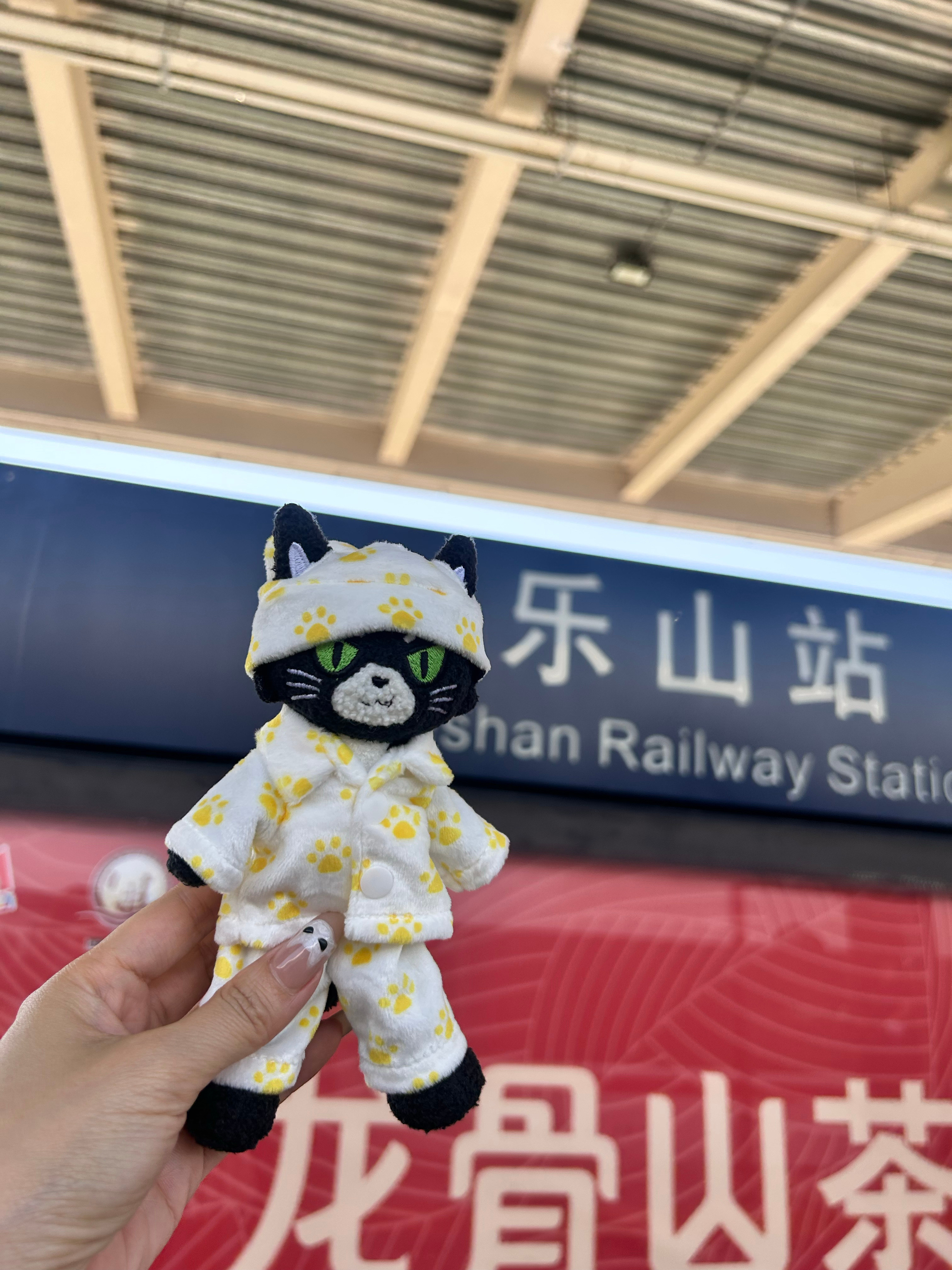 带着小厨和钨丝打卡了好多四川美食丁禹兮