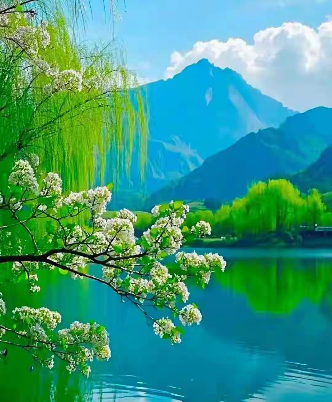 人老了，最好的归宿，是守着自己的烟火，安然终老人这一辈子，走到鬓染霜华、步