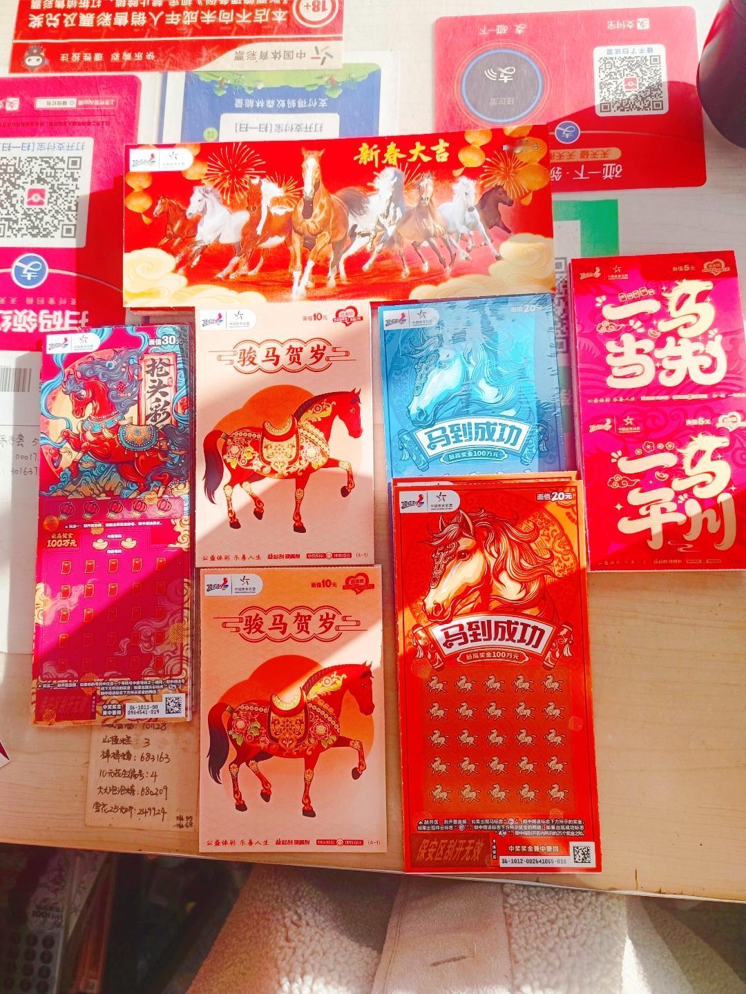 合肥一男子何某某，1个月内花90万买彩票却未中一分钱，事后怒将彩票店老板及彩票管