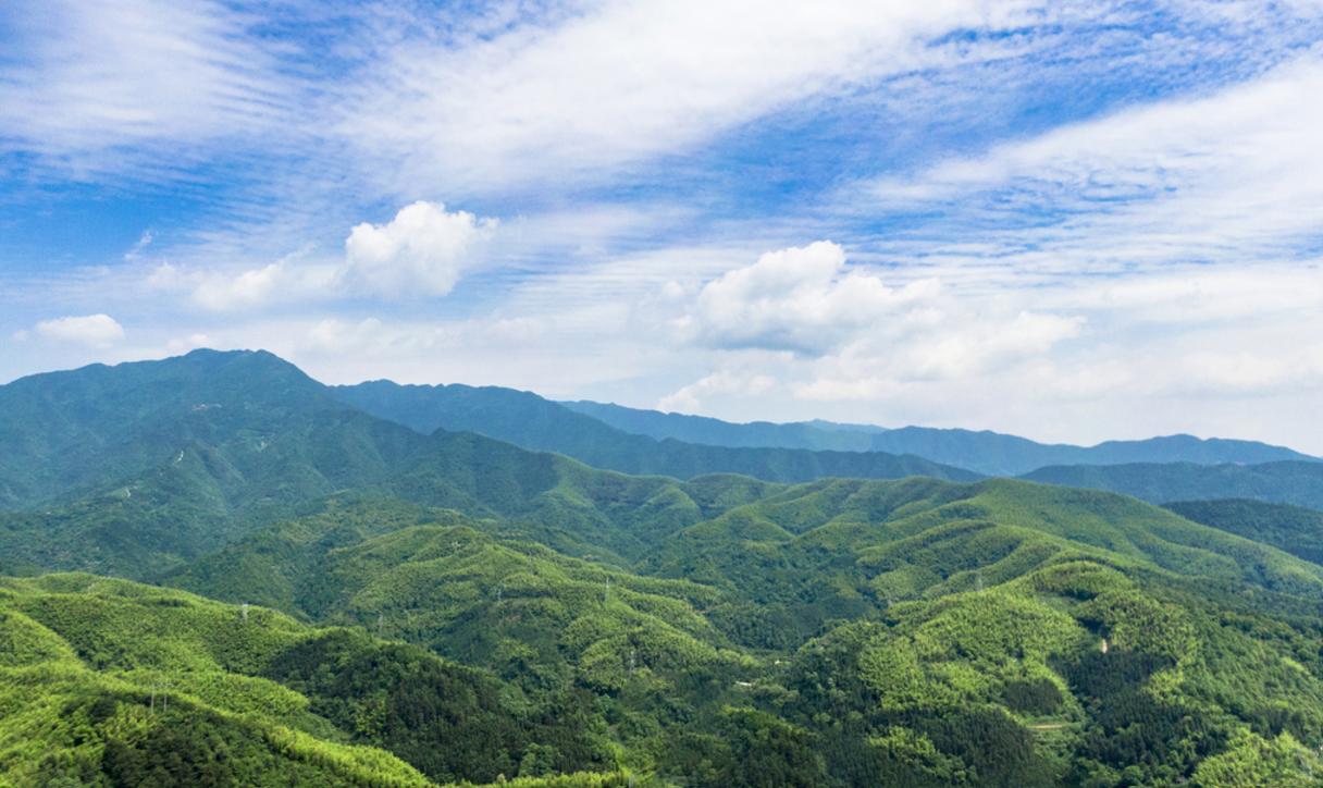 浙江安吉县已经连续多年位居中国旅游最强县。就在过去的2024年，安吉县以年接待游