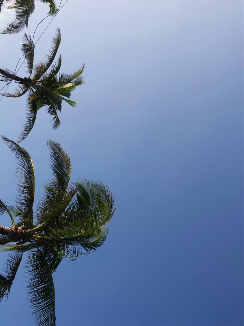 当北方的风开始循环播放冷空气，海南的十二月，正把夏天设为单曲循环🌞25℃的风裹