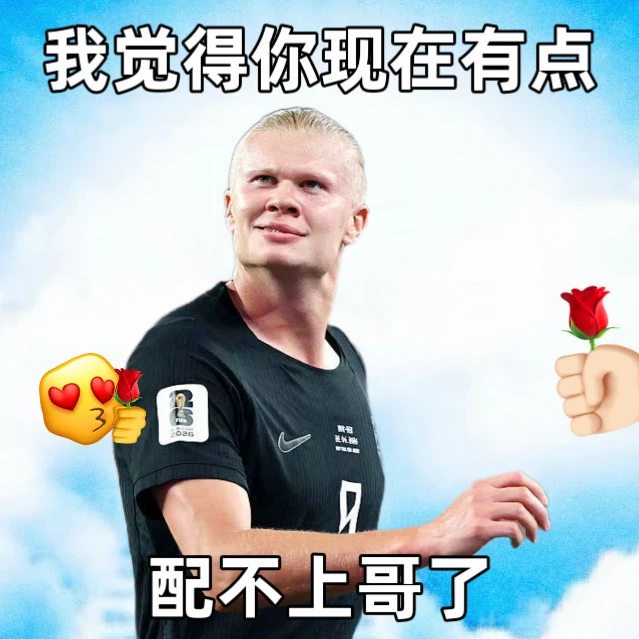 哈兰德虽然很厉害，但进球姿势依旧太搞笑了 他怎么这么好玩[捂脸笑]