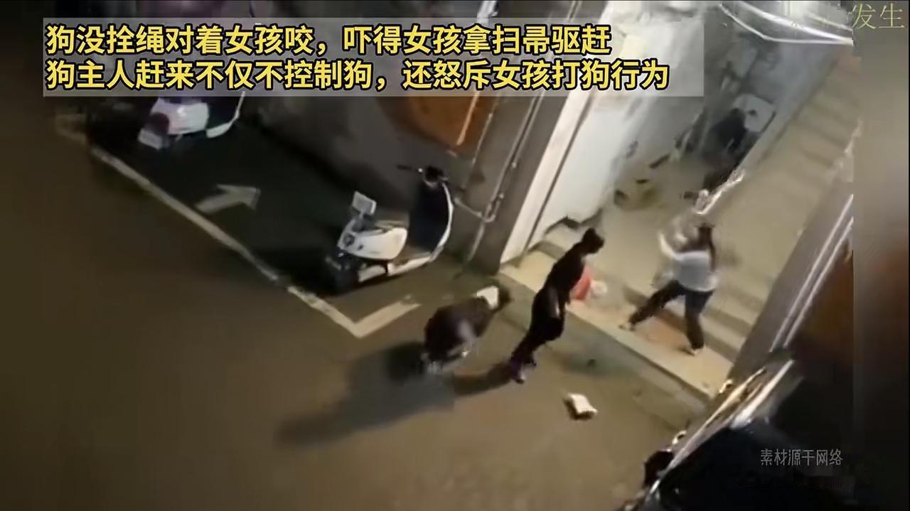 “你激动啥？它又不咬人！”在楼道口，女生向一条正叫着扑过来的边牧挥舞着扫帚，以防