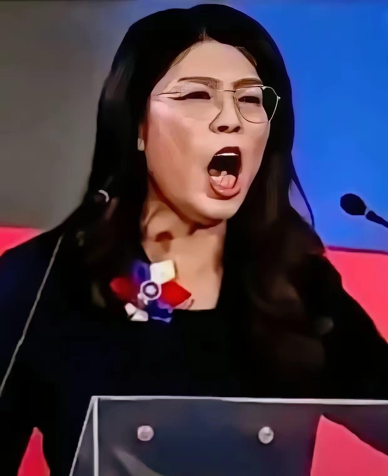 太敢说了！国民党大佬国际场合硬刚