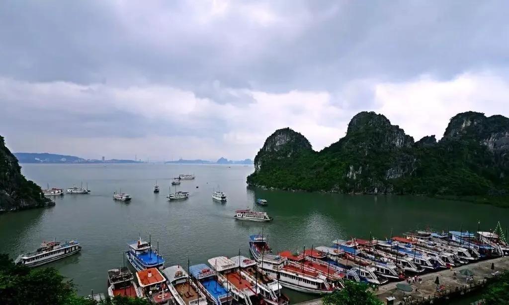 作为在能源圈和东南亚贸易线上摸爬滚打十几年的老外贸人，看到越南这波操作，我第一反