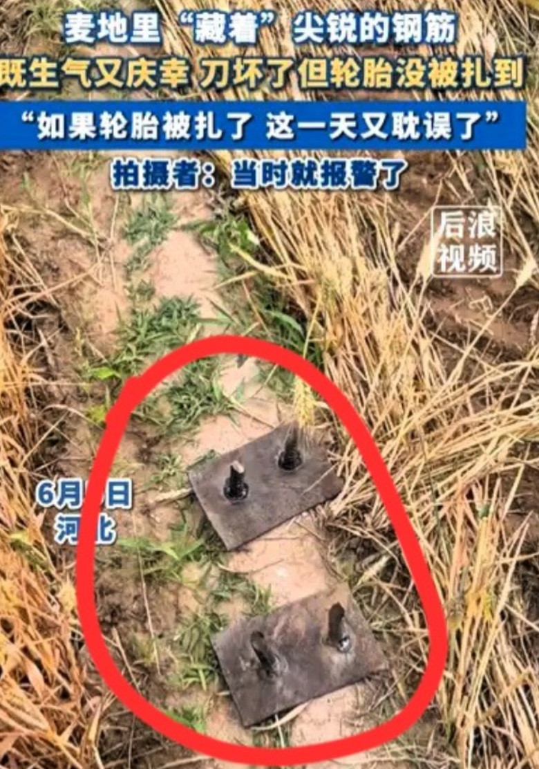 6月5日，河北女子收割麦子时发现麦田里有两根新焊的钢筋，担心扎坏收割机轮胎，于是