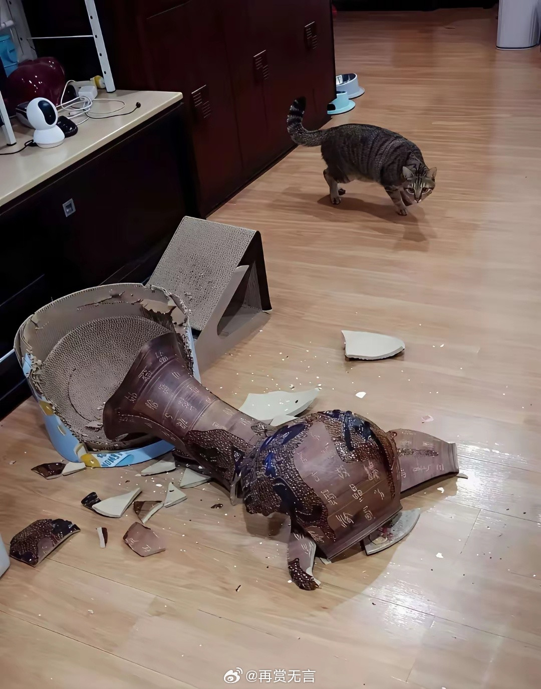 我的猫猫，把我家老祖宗留下来的百年古董弄坏了，