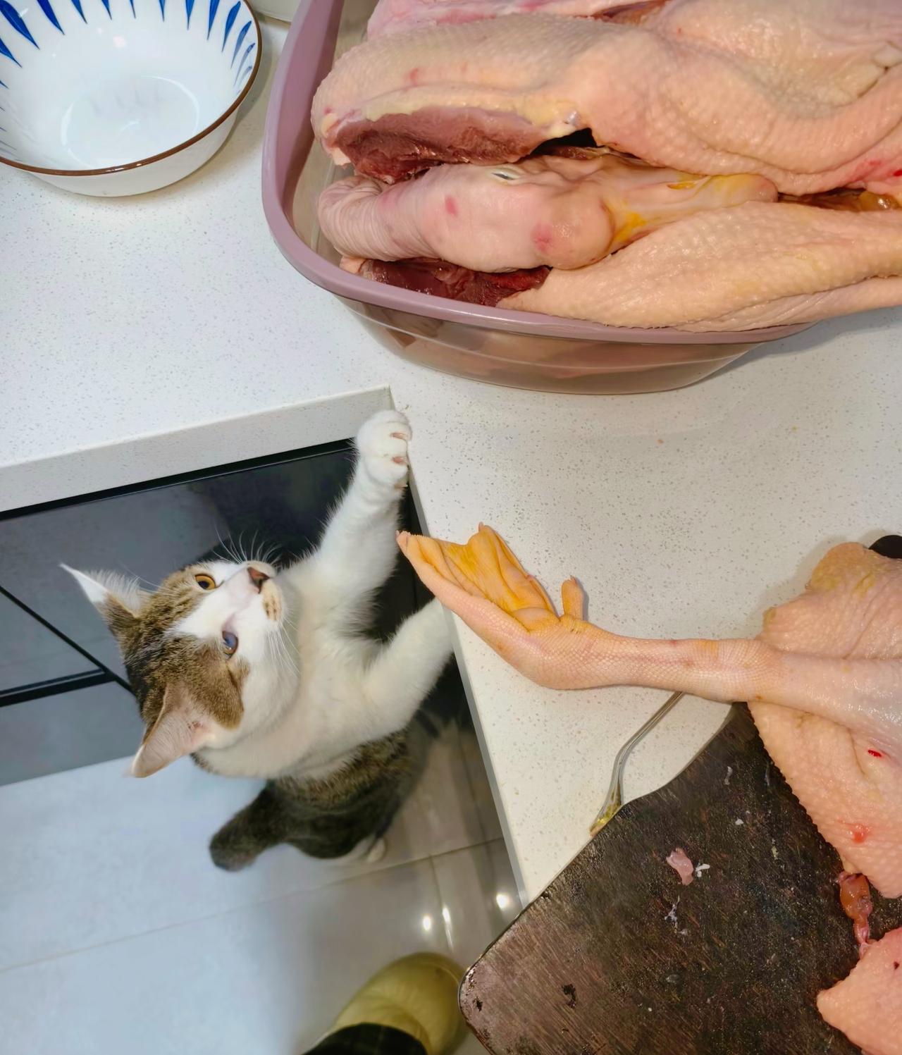 刘震云：）​​​这世上，有两个我，​一个举杯邀明月寻心中诗意，​一个跪地拾碎