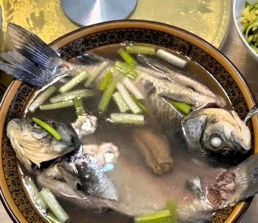 为什么我煮出来的鱼汤不是乳白的​​​