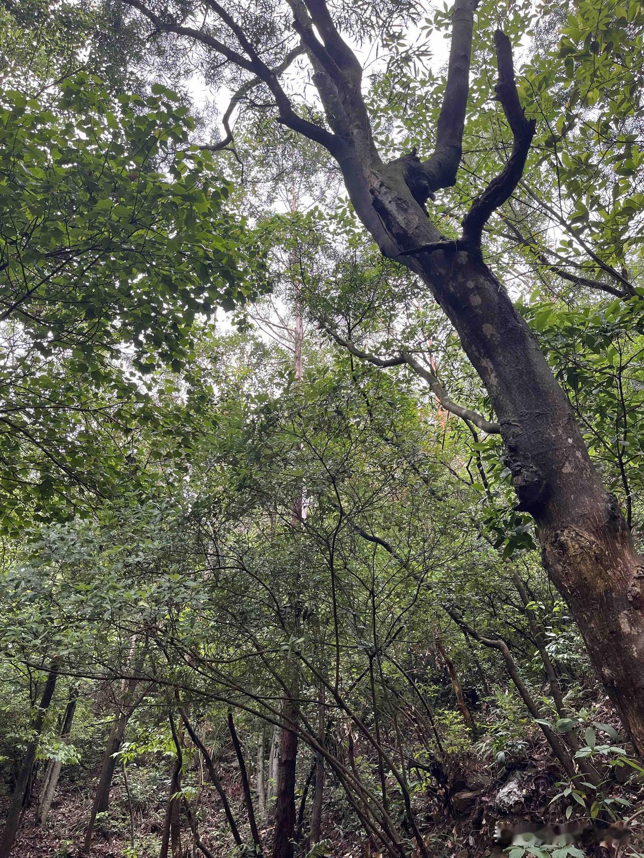 《资治通鉴》：真正废掉一个人的，从来不是贫穷，而是这三个字我以前认识一位