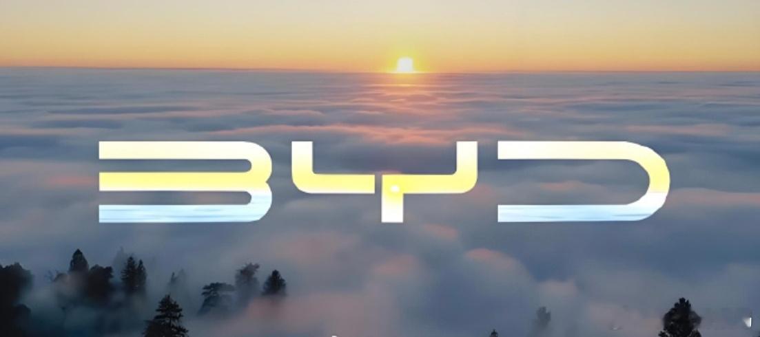 王传福称比亚迪将发布重磅技术12月5日获悉，比亚迪今日在深圳总部举行了临时股东