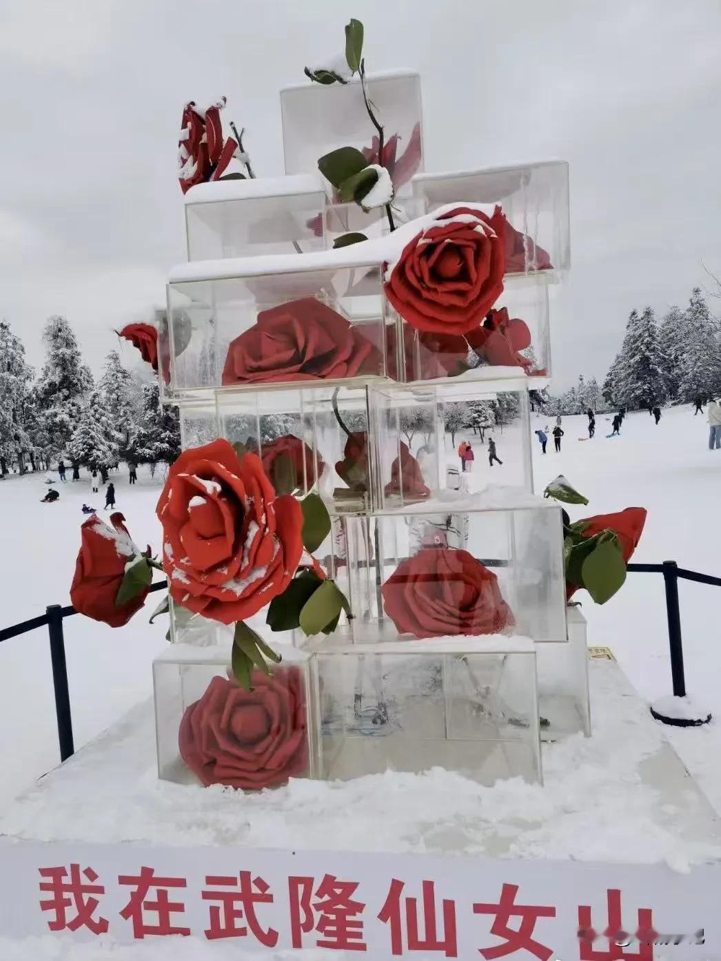 重庆仙女山“又双叒”下雪了，整个世界变得温柔了起来！1月14日，武隆仙女山景