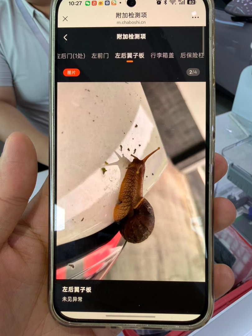 检测技师的浪漫左后叶子板未见异常不需要拍照的但他拍个蜗牛🐌[大笑][大笑]​