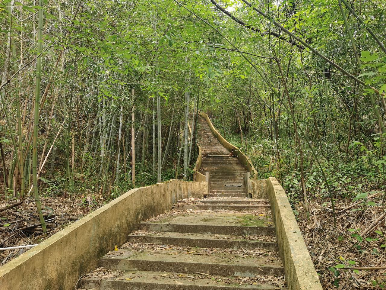 东宝山曲径通幽