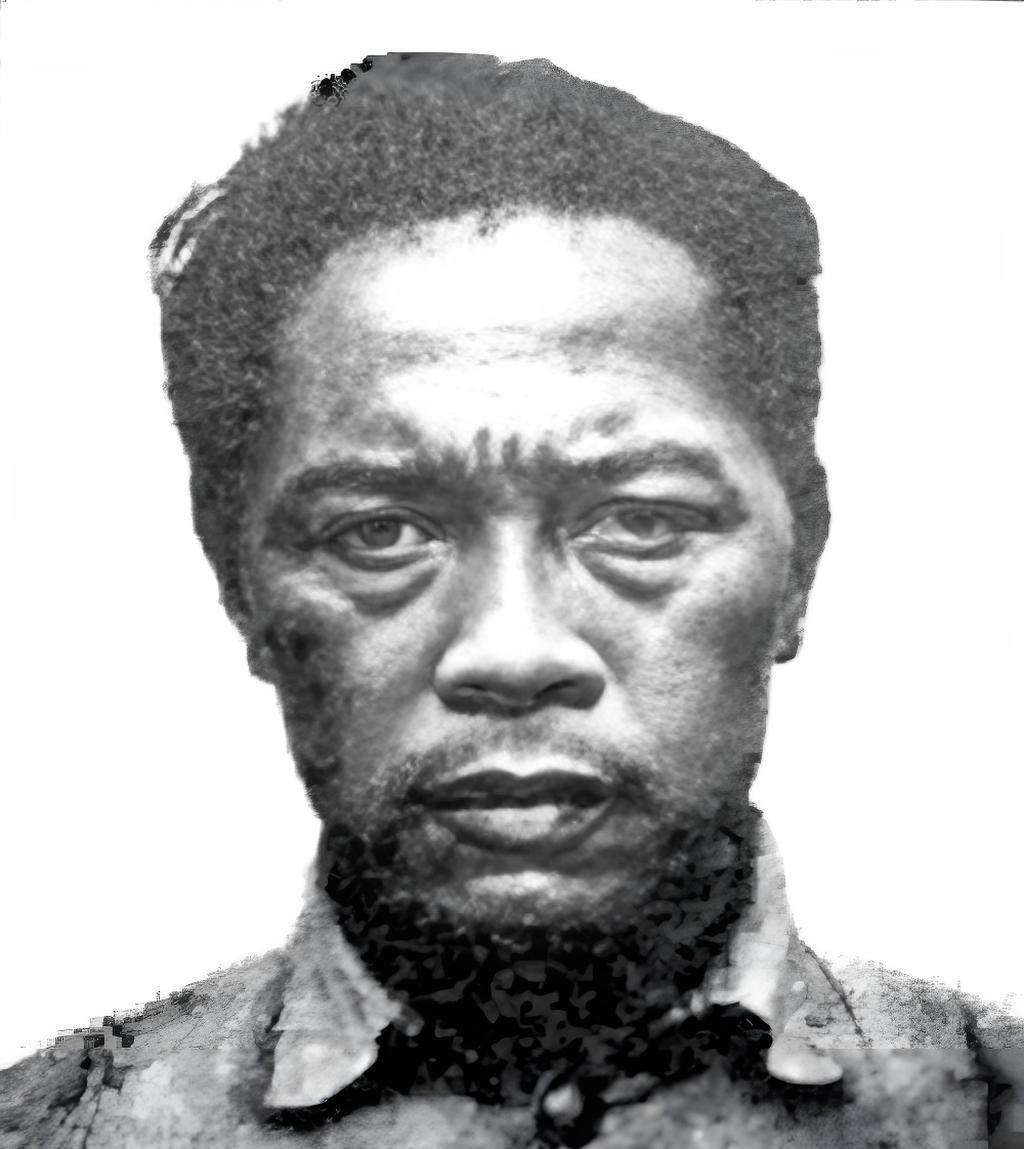 国军中将李本一是抗日名将，他于1949年被俘后，本着优待俘虏的政策，林总提出让他