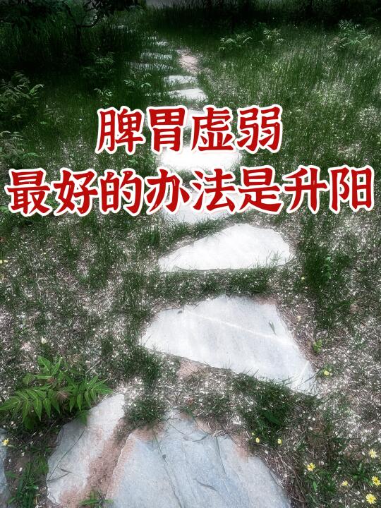 中医｜只是补了阳气，脾胃就能自愈了