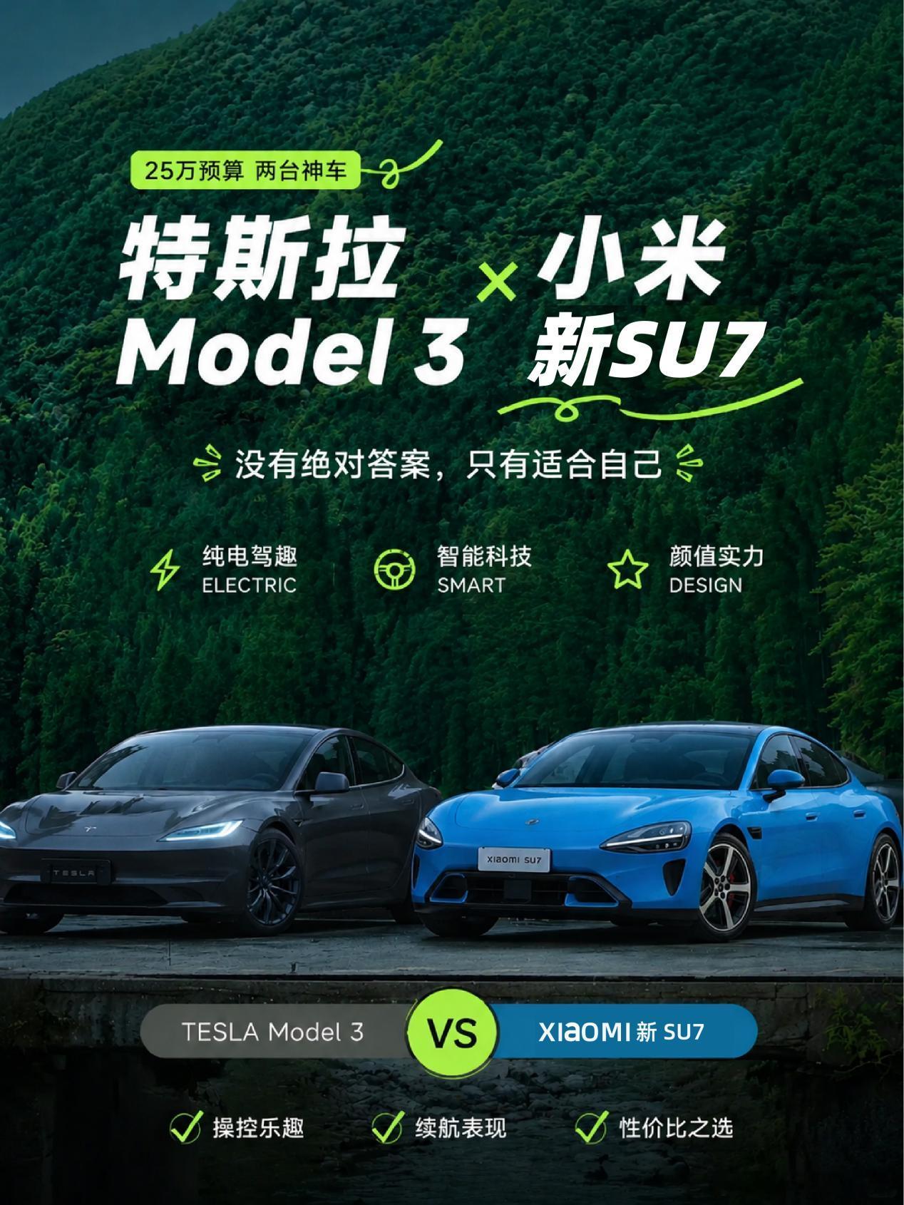 25万预算⚡特斯拉Model 3 vs 新SU7，两台都好！  预算 ...
