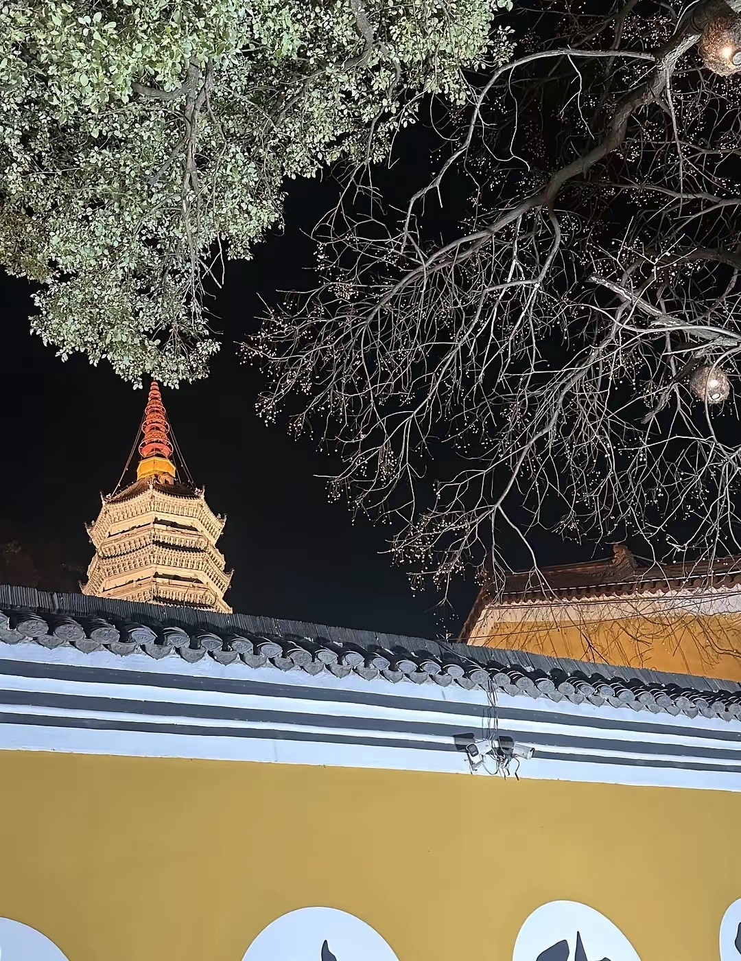 迎江寺的夜景比白天看更美，没什么比饭后在江边散步更舒服的了。就是过年江边太堵了，