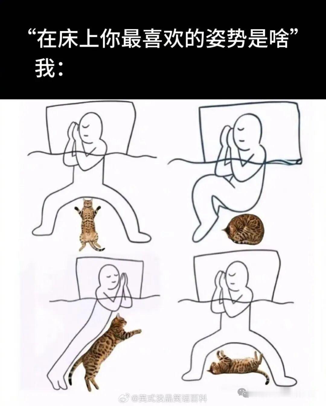 难以抗拒的姿势[点赞][点赞]​​​