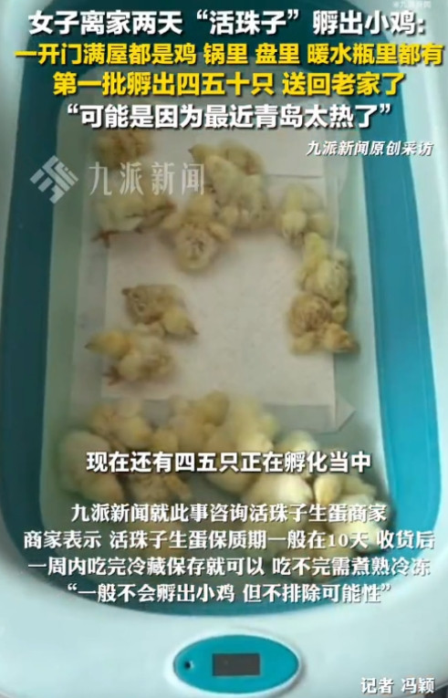“赚大发了！”山东青岛，一女子离家2天，回家打开门后，全家都愣住了，屋内各个角落