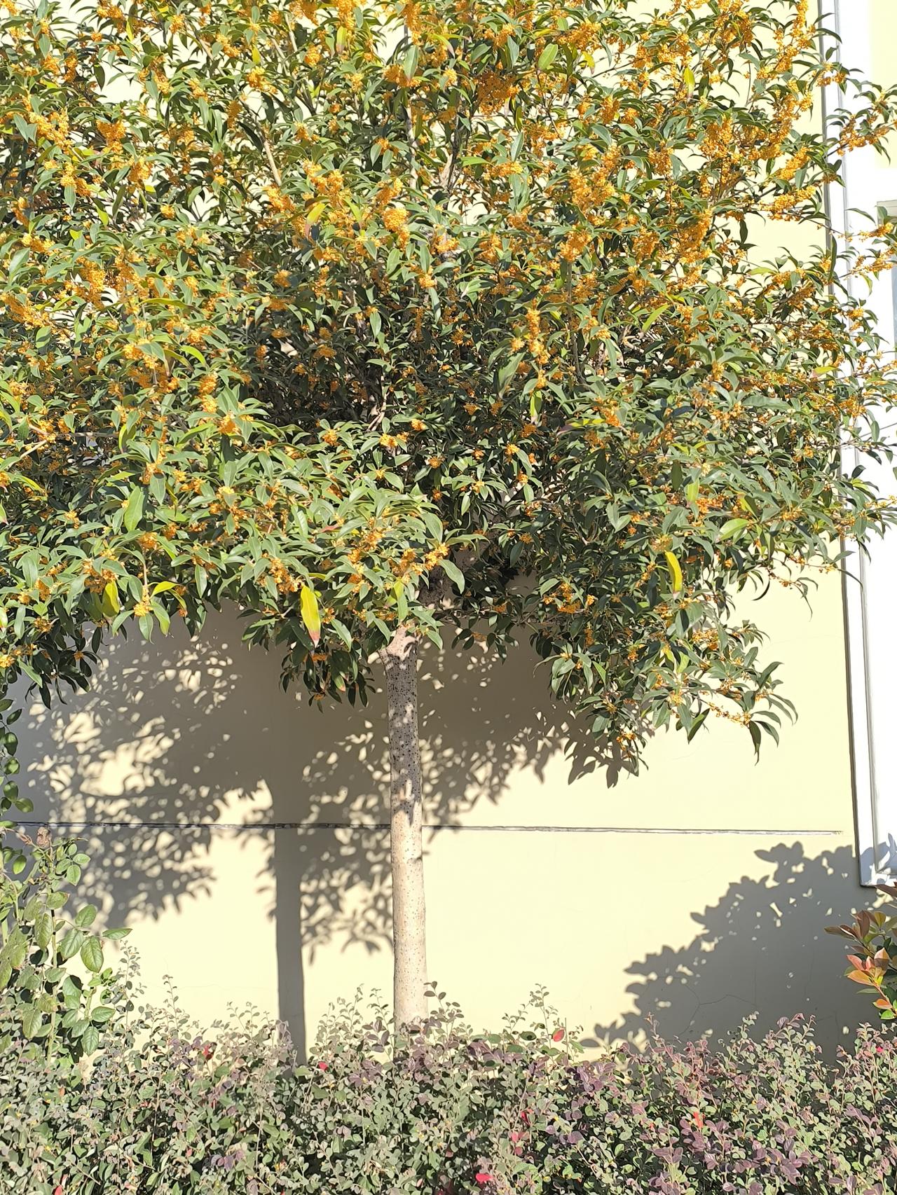 电商消费不只是退款，还有其他消费规定，了解多少？电商退款套路当然，很多人在电商