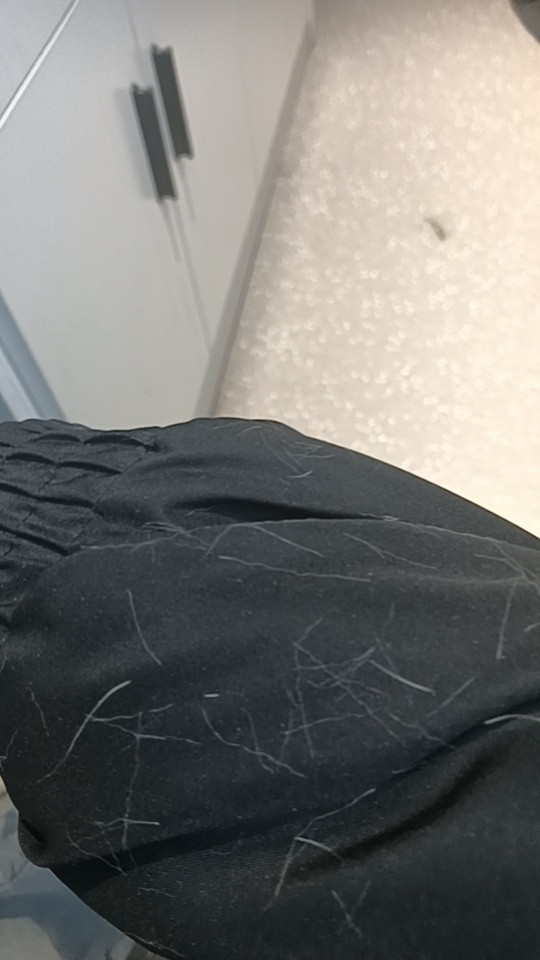 猫兄来了，迈着它那妖娆的步伐，猫兄走了，给我留了一手的毛然后做一做这个演员热度值