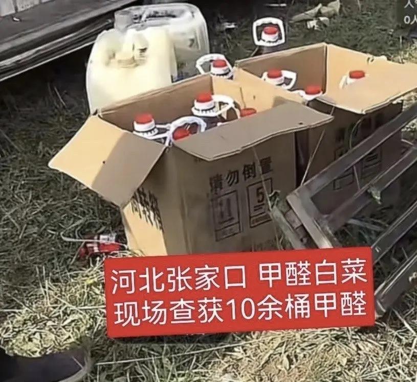 河北张家口康保县今年的大白菜丰收了，可惜大家都不敢吃了，有无良的白菜收购商，当着